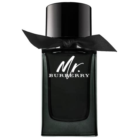 mr burberry by burberry eau de parfum spray|mr Burberry perfume price.